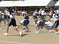 Img_0604