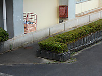 Dscn9104