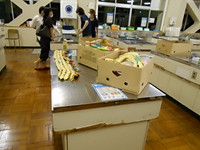 Dscn9244