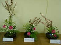 Dscn9811