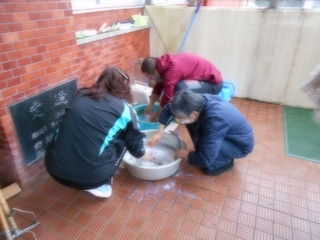 Dscn0375