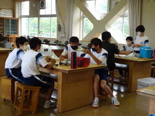 Dsc01219