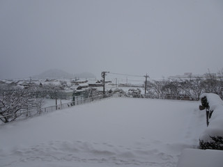 Dsc01711