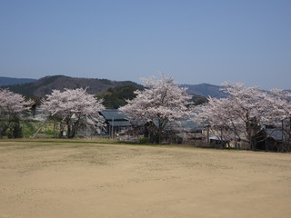Dsc01899