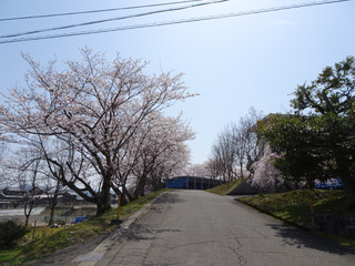 Dsc01903