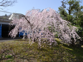 Dsc01913_2