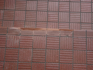 Dsc01995