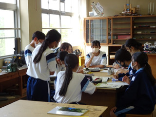 Dsc02407