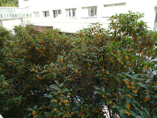 Dsc02446