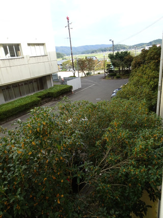 Dsc02447